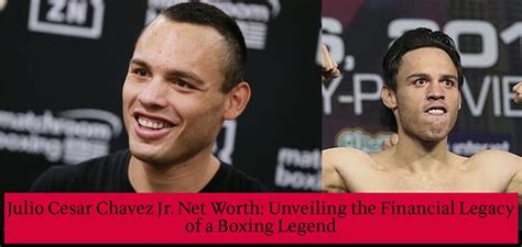 chavez jr net worth